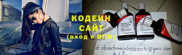 мдпв Каменка