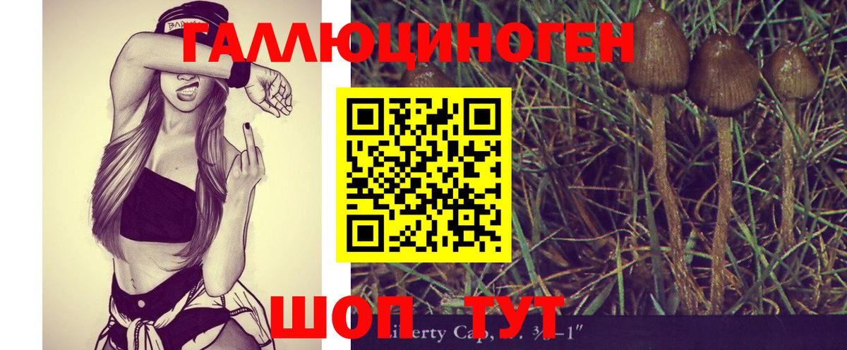 Псилоцибиновые грибы мицелий  где найти   Галлюциногенные грибы MAGIC MUSHROOMS  Абакан 