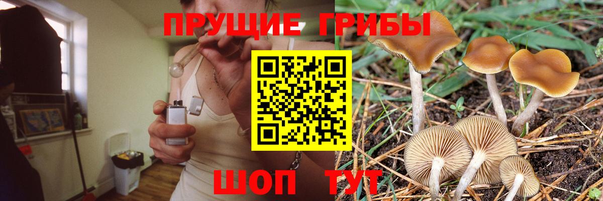 Псилоцибиновые грибы Psilocybe  Вход с VPN  продажа наркотиков  Абакан 